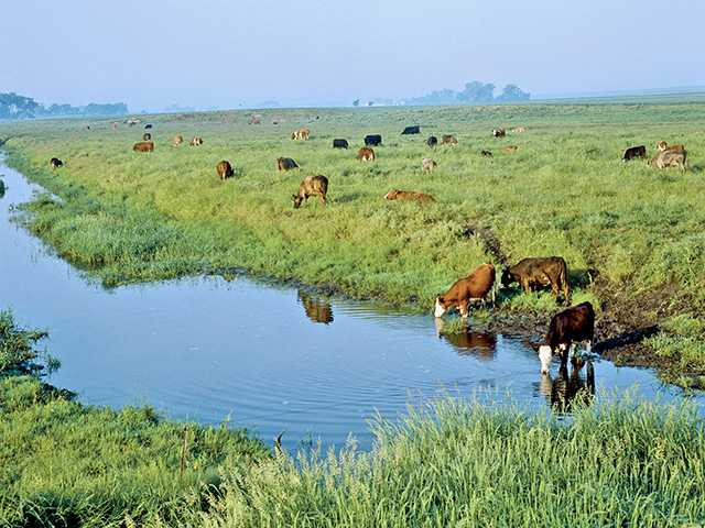 The New Mexico Cattle Growers Association asked a federal court for a preliminary injunction against parts of the Navigable Water Protection Rule. (DTN file photo)