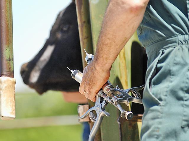 Needlesticks are a common injury for those who work with livestock. While needlestick injuries are usually minor, they can be serious. (DTN/Progressive Farmer photo by Jim Patrico)