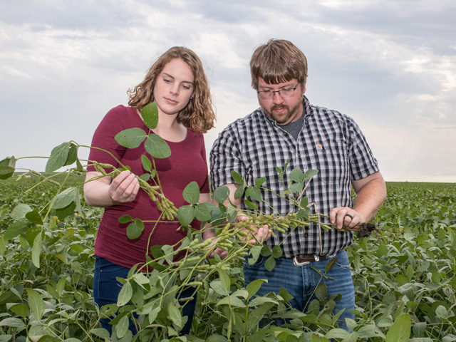 James and Paige Hepp of Rockwell City, Iowa, fulfilled their dream of raising row crops despite several obstacles, such as no family-owned land to farm. (DTN photo by Darcy Maulsby)