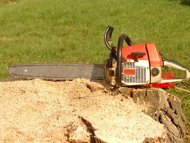 Chainsaw operators must follow safety rules and wear protective clothing to prevent serious injury. (DTN file photo)