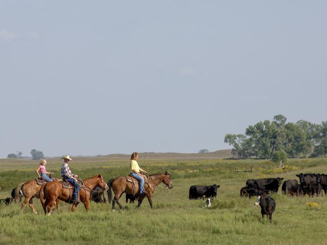 When farms and ranches don&#039;t survive generational shifts, it&#039;s often tied to lack of planning and communication between family members. (DTN/Progressive Farmer file photo by Jim Patrico)