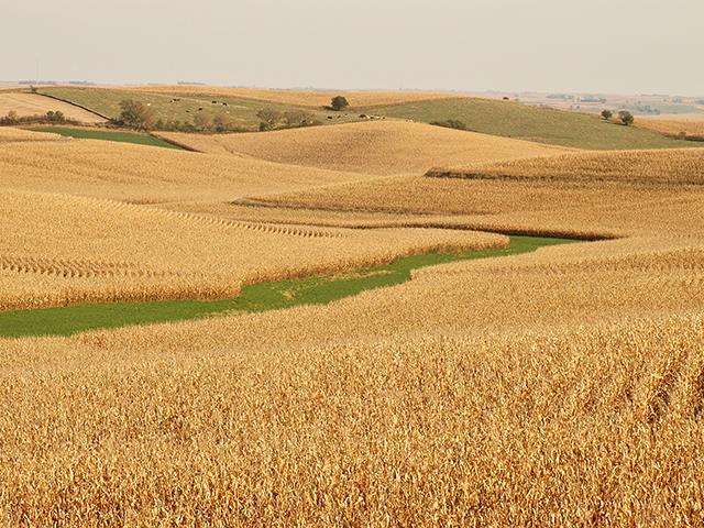 A midyear report reveals the ag land market shows signs of de-escalating both in sales volume and rate of value increase. (DTN/Progressive Farmer file photo by Jim Patrico)