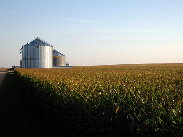 Farm consolidation is behind some of the declines seen in number of farm operations across the U.S. (DTN/Progressive Farmer file photo)