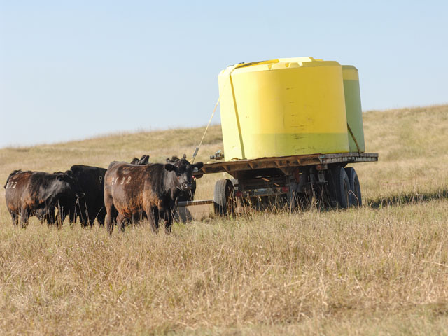Cow-calf producers in the Northern Plains have seen drought limit forage production, which has led them to reduce their herd size. Some producers have even had to haul water to pastures and rangeland. (DTN photo by Jim Patrico)