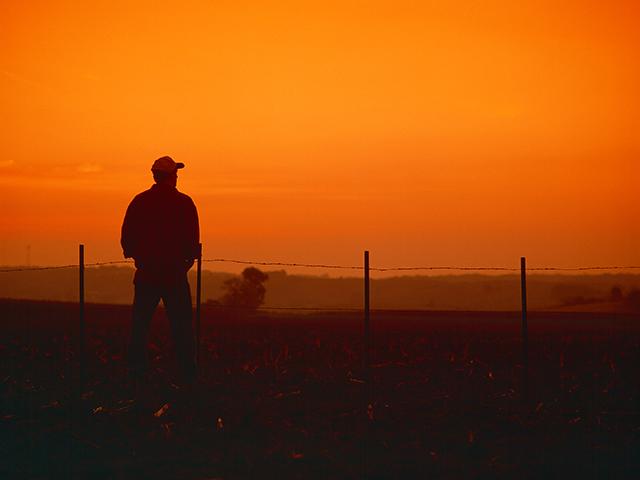 The need for additional rural mental health resources has never been more acute as farmers deal with the pressures of the profession. (DTN photo by John Wigmore)