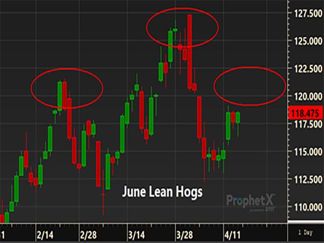 June lean hogs have a developing head-and-shoulders pattern unfolding which could suggest price weakness ahead. (DTN ProphetX chart by Tregg Cronin)