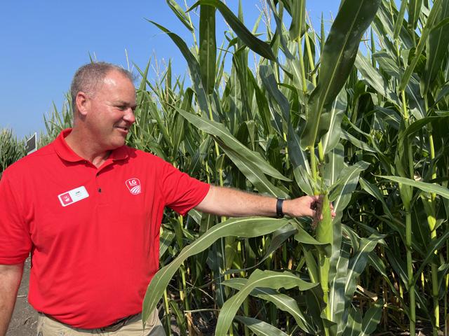 It&#039;s worth getting into the cornfield this time of year to do yield checks and look for other agronomic clues, according to agronomist Jim Rowley. (DTN photo by Pamela Smith)