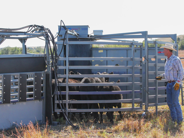 Fifth-generation rancher Jon Mollhagen started Moly Manufacturing by building and designing equipment for the family&#039;s Kansas cow-calf operation. (Photo courtesy of Lacey Mollhagen)