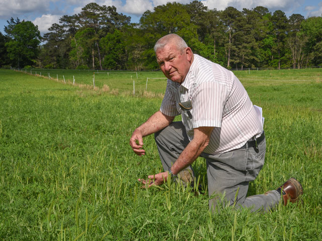Wedge Barthe fine-tuned his pasture management plan to maximize efficiency and keep cows and heifers in the best possible shape. (DTN/Progressive Farmer photo by Becky Mills)