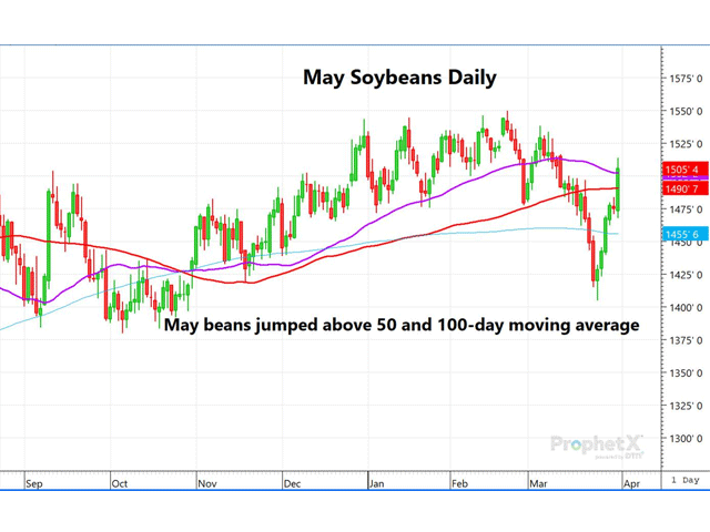 This is the daily chart for May soybeans, showing futures rising above both the 50- and 100-day moving averages. (DTN ProphetX chart by Dana Mantini) 