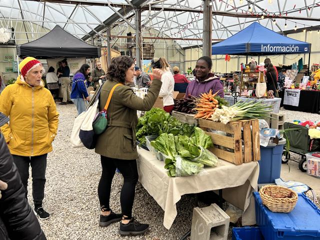 Mediatrice Niyonkuru, a refugee originally from Burundi, sells produce at a holiday market Monday at the KC Farm School at Gibbs Road in Kansas City, Kansas. Since the 2018 farm bill, the KC Farm School has tapped some large federal grants and been able to use federal nutrition programs with vendors and shoppers. (DTN photo by Chris Clayton) 