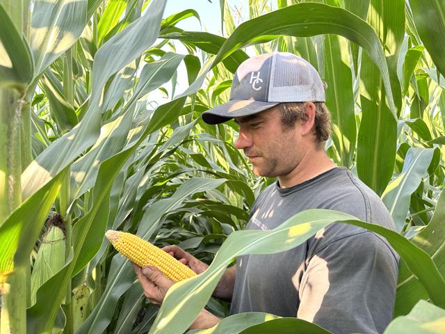 North Dakota farmer Mike Langseth checks on his corn crop as it enters early dent stage. This dryland field still looks promising despite limited rainfall. (DTN photo by Chandra Langseth)