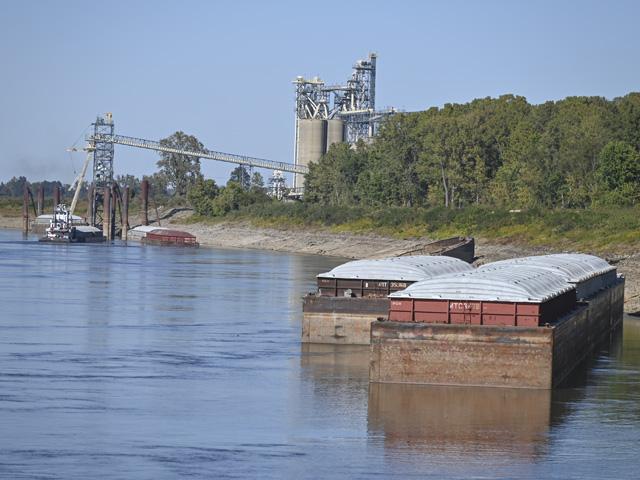 Low water levels are hampering river terminals from fully loading barges due to fears that they will get stuck, like the ones seen at the Cargill facility on Hales Point Grainery Road, Halls, Tennessee. (DTN photo by Matthew Wilde)