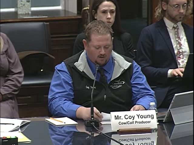 Missouri cattle farmer Coy Young told the House Agriculture Committee on Wednesday the current structure of the cattle market is threatening farm families. (DTN screenshot of House Ag Committee hearing livestream)