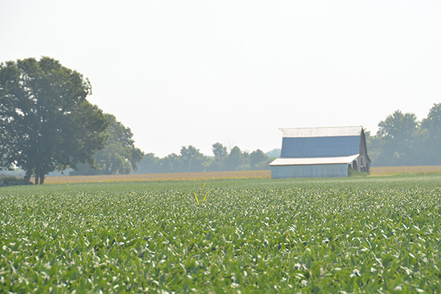 An analysis highlighted by the White House responds to GOP claims that President Joe Biden&#039;s plans for capital-gains taxes would put family farms in the crosshairs. (DTN photo by Chris Clayton)