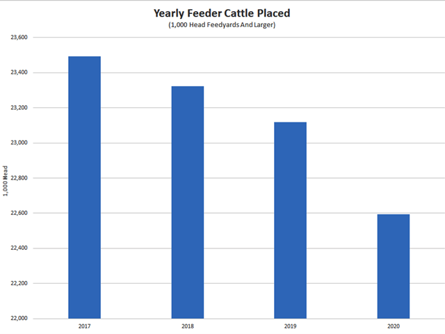 Following Friday's cattle placement report, 22.5 million head have been placed in feedlots the last 12 months. This leaves about 1/2 million head of calves unaccounted for throughout the country going into 2021. (Chart by Rick Kment)