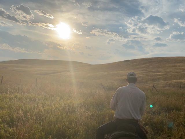 Finding some positivity in today's marketplace can seem nearly impossible given what cattlemen have endured over the last nine months. But rest assured, there's still good to be found. (DTN photo by ShayLe Stewart)