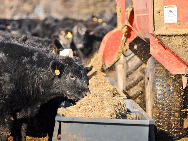 Feed prices are expected to continue to trend higher, as they track a bullish commodity market. (DTN/Progressive Farmer file photo by Jim Patrico)
