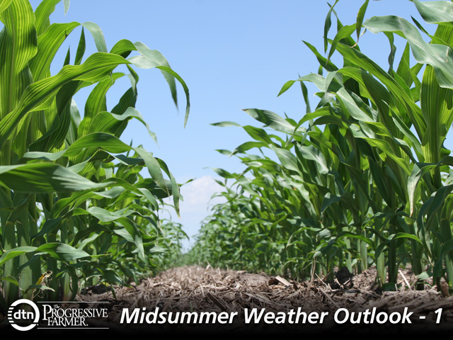 Ample soil moisture supplies and variable temperatures offer a beneficial pattern for corn development this summer. (DTN photo by Pam Smith)