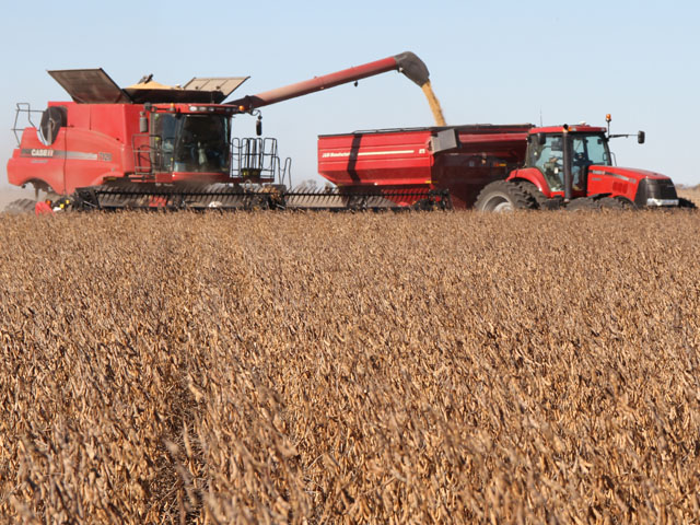 U.S. soybean farmers are fighting to save the China market for their soybeans. (DTN file photo by Pamela Smith)