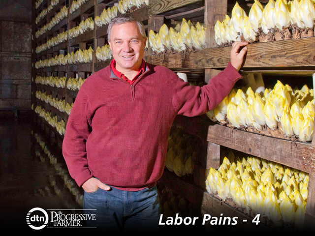 Endive producer Rich Collins prefers conversing rather than judging during performance reviews with his staff. (Photo courtesy of California Endive Farms)