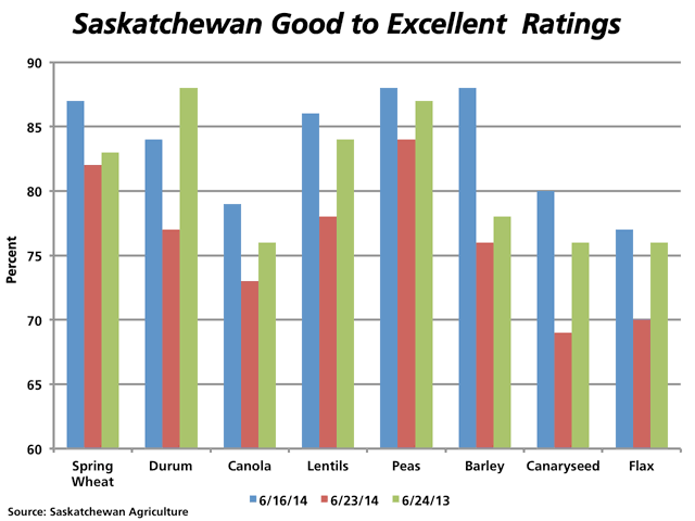 Almost all crop ratings in Saskatchewan fell from the previous week, with the sharpest declines seen in the lentil and barley crops which saw the Good to Excellent ratings drop 12%. Just the same, the most recent ratings (red bars) are not far below ratings reported for the same period in 2013 (green bars), such as seen in spring wheat and barley data. (DTN graphic by Nick Scalise)