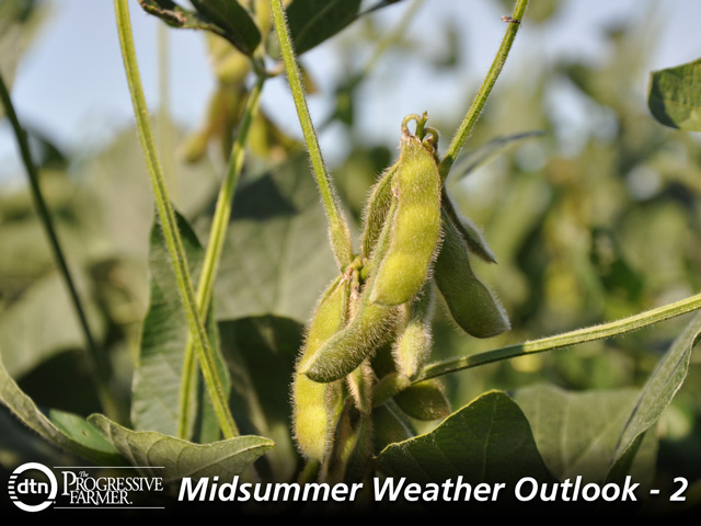 The July weather forecast offers a generally beneficial scenario for soybeans ahead of the critical pod-filling month of August. (DTN photo by Katie Micik)
