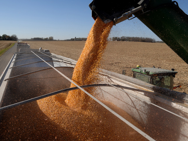 This corn may lose its biggest market if a bill in Mexico drops ag imports from the U.S. 