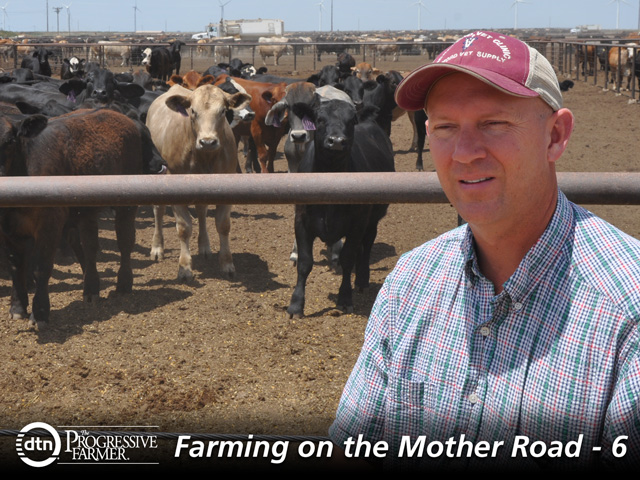 Robby Kirkland operates a 20,000-head feedlot just outside of Vega, Texas. (DTN photo by Chris Clayton)