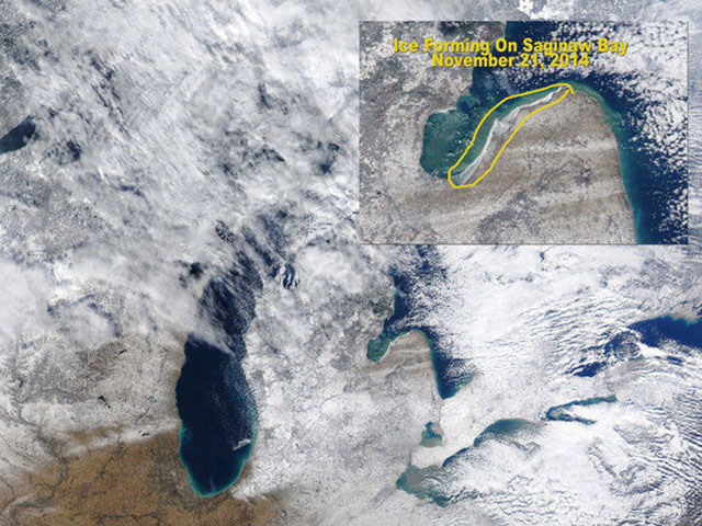 This satellite photo from Nov. 21 shows ice starting to form on Saginaw Bay. (Photo courtesy of MODIS-University of Wisconsin)