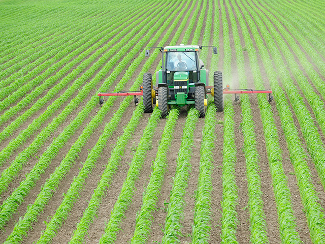 Wet fields and delayed planting continue to dampen ammonia demand. Potentially lower-planted acres for corn does not bode well for sidedress demand. (DTN file photo by Bob Ebert)