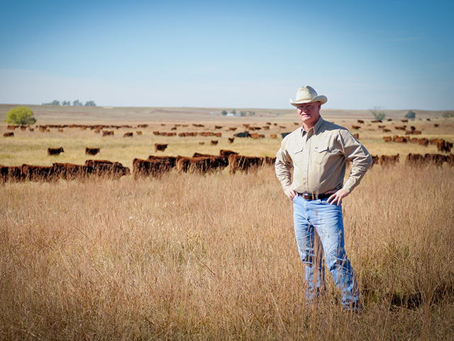 John Maddux said he and his dad, Jack, are fans of crossbred cattle and hybrid vigor. They select for docility, fertility and longevity. (DTN/Progressive Farmer photo by Heidi Anderson)