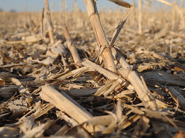 DowDuPont has announced it will sell its cellulosic ethanol plant in Nevada, Iowa, that uses corn stover as a feedstock. (DTN/The Progressive Farmer file photo by Jim Patrico)