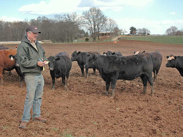 Bill Tucker, who has collected carcass and feedlot data for 22 years, said the information helps him select the best replacement heifers every year and assures him of the value of preconditioning. (DTN/Progressive Farmer photo by Becky Mills)