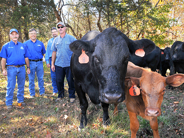Transforming this cow herd to reduced frame size and higher weaning weights has been a team effort, including (left to right) Tommy Yankey, Les Anderson, Jeff Lehmkuhler and producer Mike Wilson. (DTN/Progressive Farmer photo by Jeanie Adams-Smith)