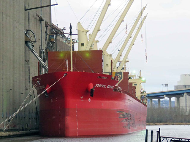 Federal Bering was at CHS 2 in Superior to take on a split load of wheat and canola to take to Mexico. (Photo courtesy of Duluth Shipping News)