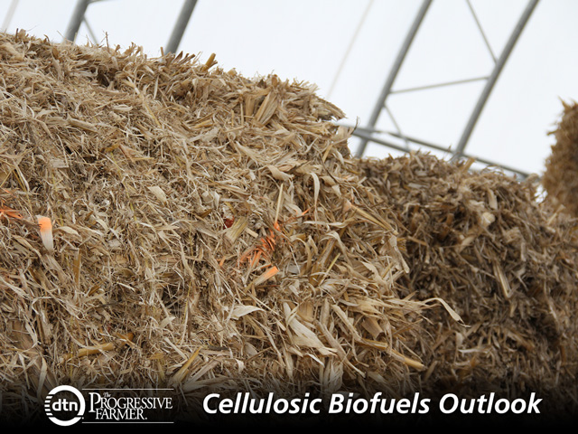 Several plants plan to produce cellulosic biofuels from corn stover during 2016. (DTN photo by Elaine Shein)