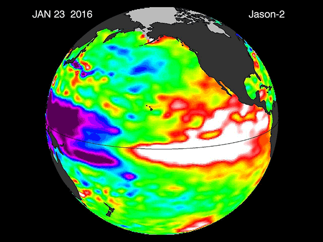 Satellite imagery shows that El Nino remains intense in the equatorial Pacific Ocean. There is uncertainty over whether the Pacific will switch to La Nina later this year. (JPL image by Nick Scalise)