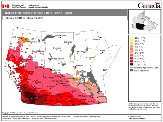 The highest temperatures observed across the Canadian Prairies from Feb. 2 to Feb. 8 show the effects of Chinook winds and Pacific air, especially in southern Alberta. (Chart Courtesy of Agriculture and Agri-Food Canada)