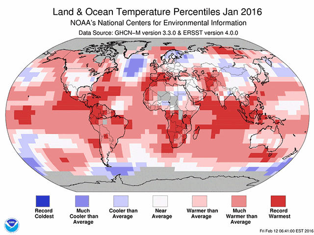 A warm January featured many record-warm regions. We've seen this frequently. (NOAA graphic by Nick Scalise) 