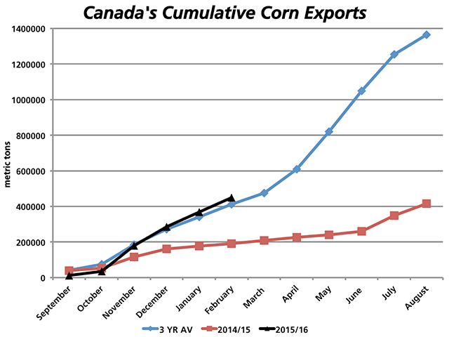 At close to 500,000 million metric tons, Canada's cumulative corn exports (black line) are more than double last year's pace (red line) while are tracking ahead of the three-year average (blue line).