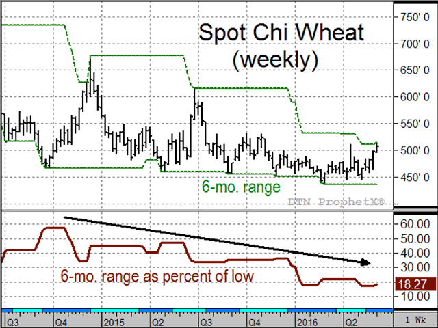 Given wheat&#039;s bearish fundamentals, it is hard to believe, but prices are giving off bullish market clues (Source: DTN ProphetX).