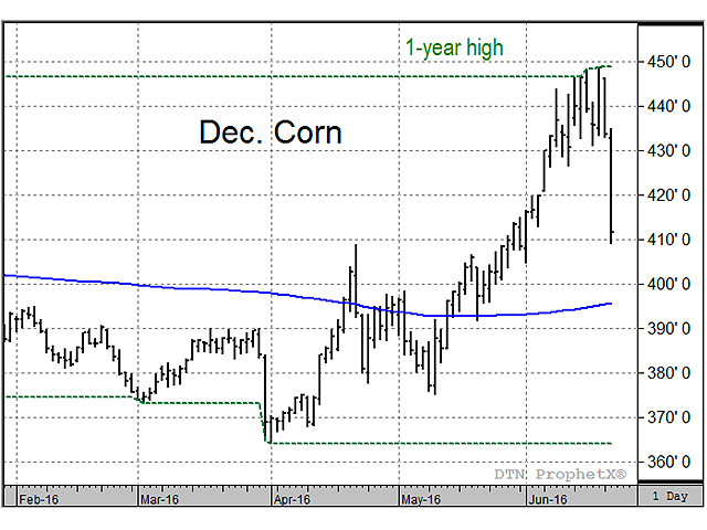 December corn stumbled since reaching its one-year high last week as more rain showed up in the forecast, but there is plenty of summer still ahead. (DTN chart)