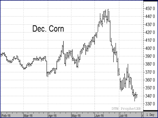 The Dec corn contract has plunged in price since RMA set spring price guarantees based on closes during the month of February. (DTN chart)