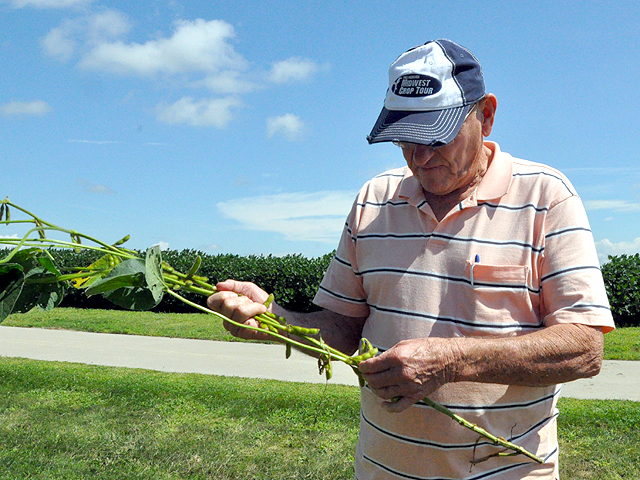 Indiana farmer and crop tour scout Joe Wise counts pods on a soybean plant Wednesday afternoon in eastern Iowa. (DTN photo by Chris Clayton)