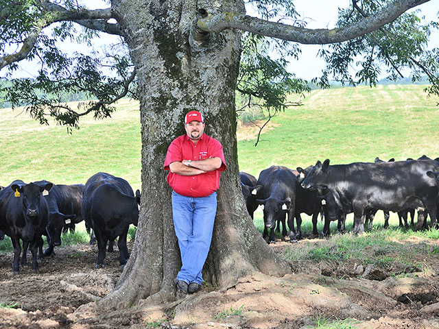 Bull prices tend to trail feeder calf markets, said Jonathan Perry, manager of Tennessee&#039;s Deer Valley Farm. (DTN/Progressive Farmer photo by Victoria G. Myers)