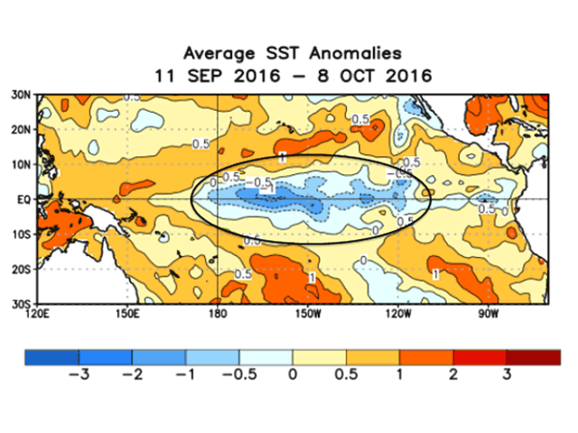 Pacific Ocean temperatures indicate a struggle to develop even weak La Nina conditions during the rest of this fall season. (NOAA graphic by Nick Scalise)
