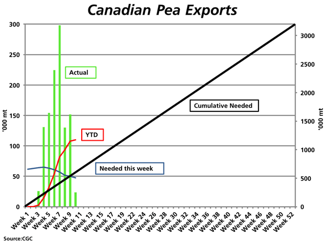 The green bars represent the weekly licensed exports of Canadian dry peas, measured against the primary vertical axis. The downward-sloping blue line represents the volume needed each week to stay on track to reach the current export target. The upward-sloping black line represents the cumulative pace needed to reach the current 3.2 million metric ton target, measured against the secondary vertical axis, while the red line represents the actual cumulative volume shipped. (DTN graphic by Nick Scalise)