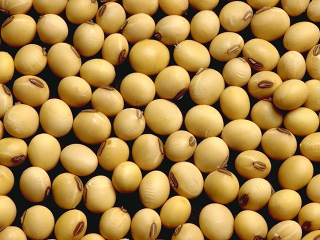 There is room for soybean prices to respond to the latest news about trade with China. USDA&#039;s ending stocks estimate suggests soybeans are currently trading about 50 cents per bushel below where they should. (DTN file photo)