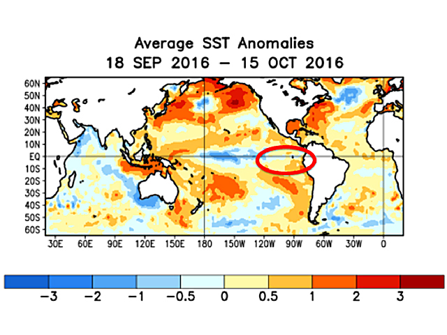 Eastern Pacific Ocean temperatures are above normal and not showing a cooling tendency toward La Nina. (NOAA graphic)